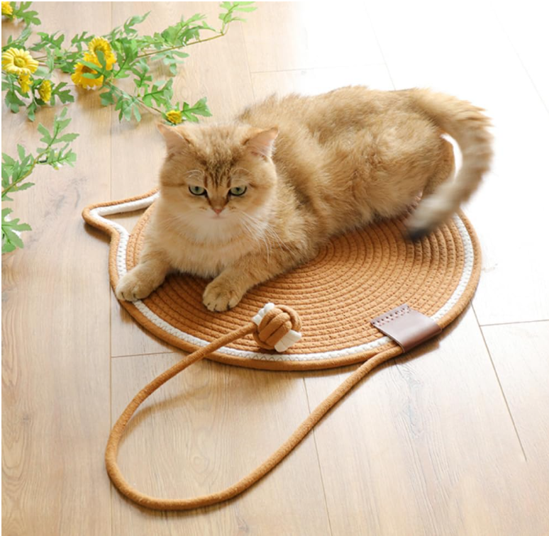 The Whiskers-Joy Cat Face Scratcher Mat | FREE Cash on Delivery Today